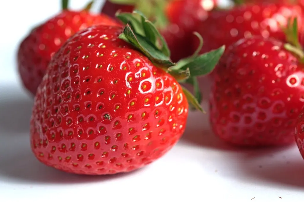 découvrez tout sur les fraises : recettes, bienfaits, saison de récolte, et plus encore sur les fraises.