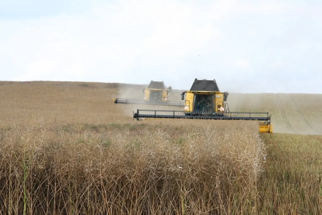 découvrez le monde fascinant de l'agriculture, ses techniques innovantes, ses pratiques durables et son impact sur notre environnement. explorez comment l'agriculture moderne contribue à la sécurité alimentaire et à la préservation des ressources naturelles.
