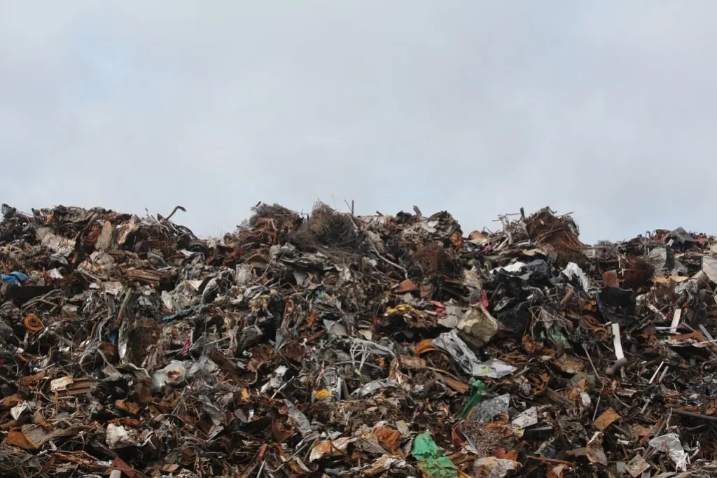découvrez comment réduire le gaspillage alimentaire avec nos conseils pratiques, recettes anti-gaspillage et initiatives durables pour un avenir plus vert.