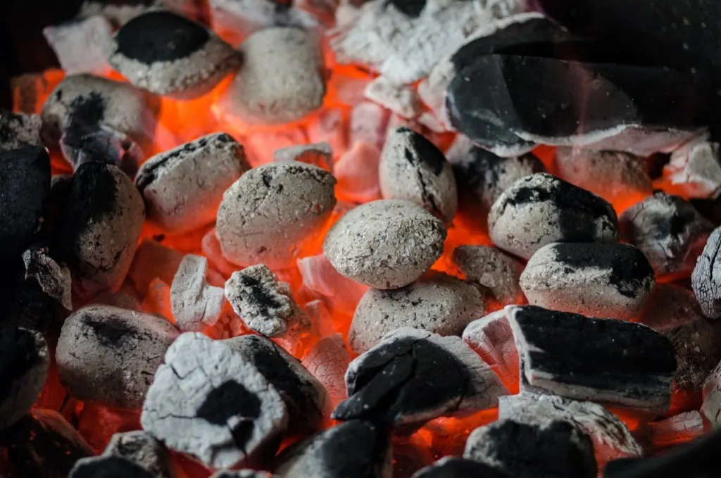 découvrez notre sélection de barbecues parfaits pour vos grillades d'été. trouvez des conseils pour choisir le bon équipement, des recettes délicieuses et des astuces pour réussir vos repas en plein air.
