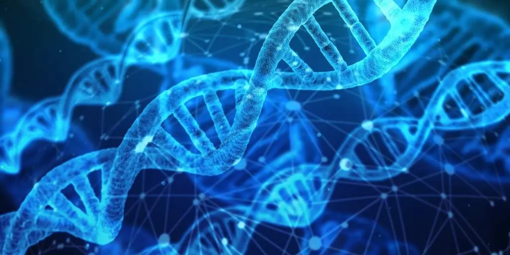 découvrez le monde fascinant de la biotechnologie, où la science et la technologie s'unissent pour développer des solutions innovantes dans les domaines de la santé, de l'agriculture et de l'environnement. apprenez comment les avancées biotechnologiques transforment notre quotidien et ouvrent la voie à un avenir durable.