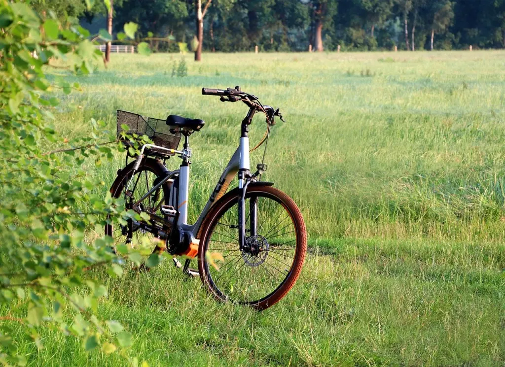 découvrez le monde fascinant des vélos électriques, alliant performance et écologie. partez à l'aventure tout en réduisant votre empreinte carbone grâce à nos modèles innovants, adaptés à tous les trajets, qu'ils soient urbains ou en pleine nature.