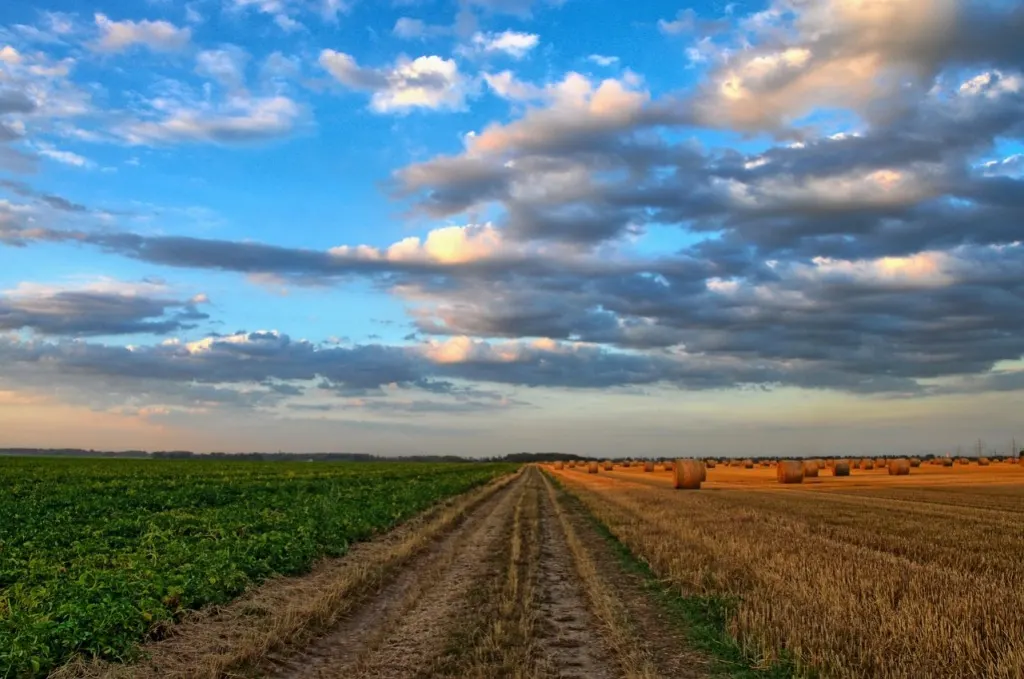 découvrez comment la modernisation rurale transforme les territoires en alliant innovations technologiques et développement durable. explorez les solutions qui améliorent la qualité de vie des habitants tout en préservant l'environnement.