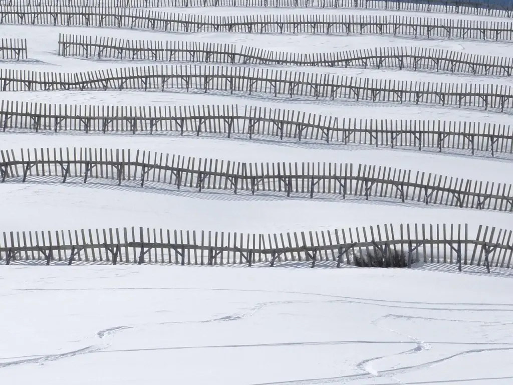 découvrez les méthodes et technologies utilisées pour le contrôle des avalanches afin de prévenir les risques en montagne et assurer la sécurité des personnes et des infrastructures.
