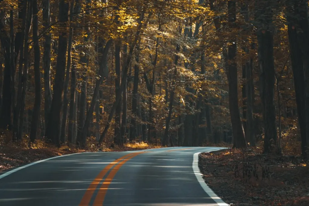 découvrez les voies flexibles, une solution innovante pour optimiser le flux de trafic et s'adapter aux besoins changeants des usagers de la route.