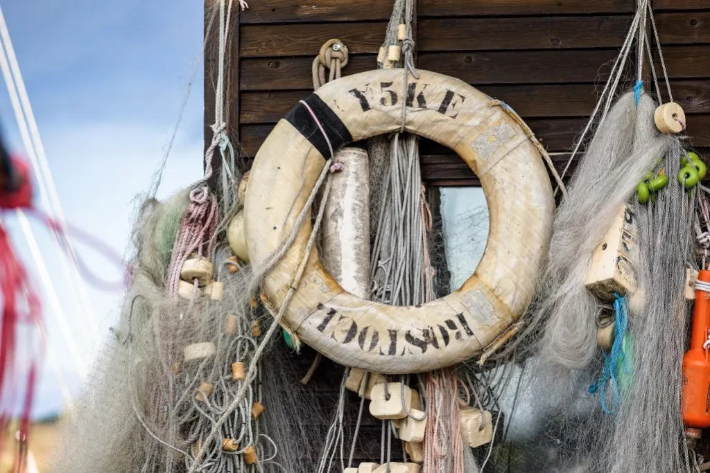 découvrez tout sur la pêche : techniques, conseils, lieux incontournables et matériel pour passionnés de pêche.